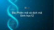Sinh học 12 Bài 2: Phiên mã và dịch mã