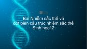 Sinh học 12 Bài 5: Nhiễm sắc thể và đột biến cấu trúc nhiễm sắc thể