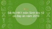 10 đề thi HK1 môn Sinh lớp 12 năm 2019 có đáp án