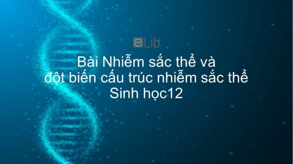 Sinh học 12 Bài 5: Nhiễm sắc thể và đột biến cấu trúc nhiễm sắc thể
