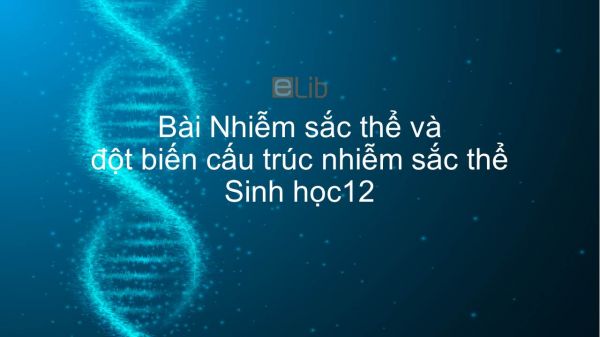 Sinh học 12 Bài 5: Nhiễm sắc thể và đột biến cấu trúc nhiễm sắc thể