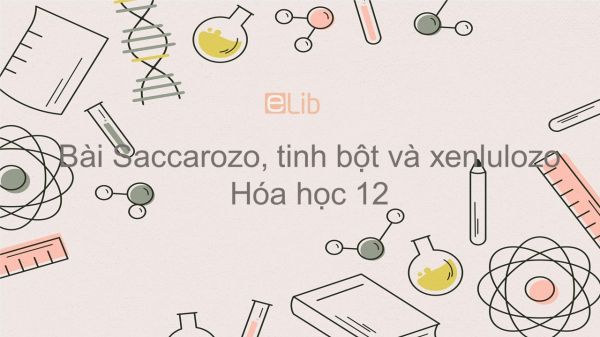 Hóa học 12 Bài 6: Saccarozo, tinh bột và xenlulozo