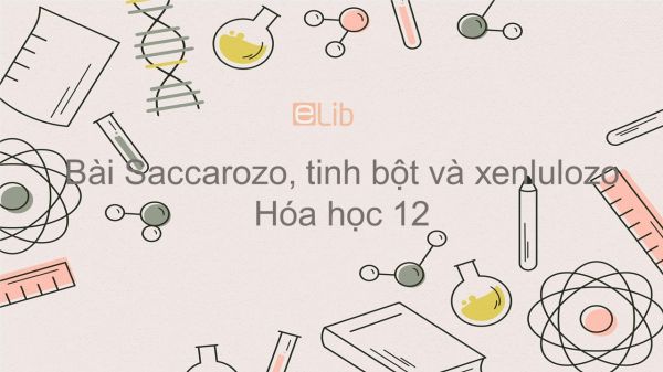 Hóa học 12 Bài 6: Saccarozo, tinh bột và xenlulozo