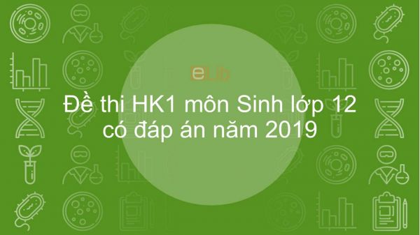 10 Đề thi Học kì 1 môn Sinh học 12 năm 2019 có đáp án