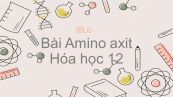 Hóa học 12 Bài 10: Amino axit