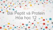 Hóa học 12 Bài 11: Peptit và Protein