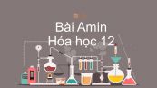Hóa học 12 Bài 9: Amin