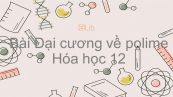 Hóa học 12 Bài 13: Đại cương về polime