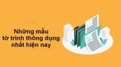 Những mẫu tờ trình thông dụng nhất hiện nay