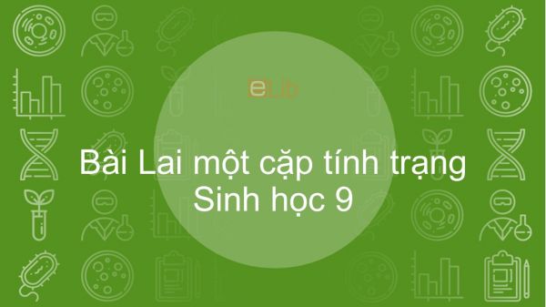 Sinh học 9 Bài 3: Lai một cặp tính trạng