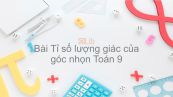 Toán 9 Chương 1 Bài 2: Tỉ số lượng giác của góc nhọn