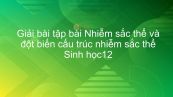 Giải bài tập SGK Sinh học 12 Bài 5: Nhiễm sắc thể, đột biến cấu trúc nhiễm sắc thể