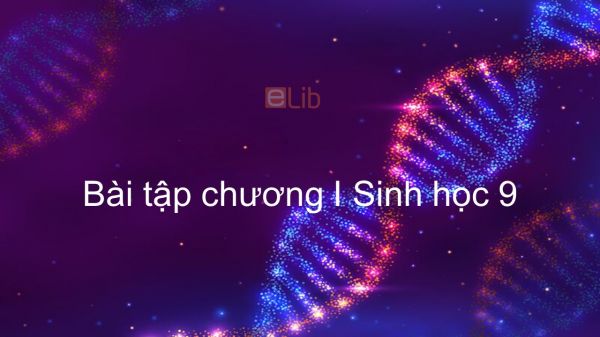 Sinh học 9 Bài 7: Bài tập chương I