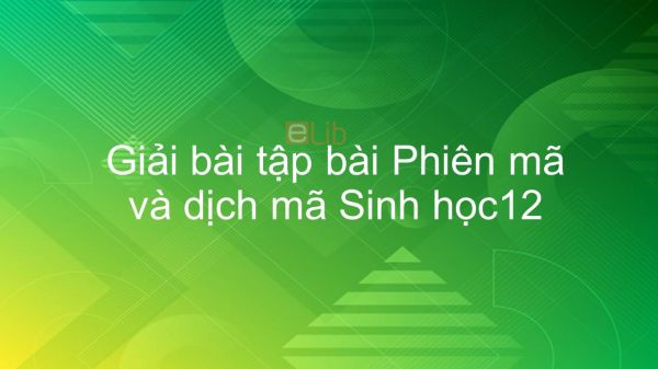 Giải bài tập SGK Sinh học 12 Bài 2: Phiên mã và dịch mã