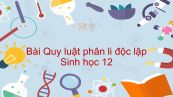 Sinh học 12 Bài 9: Quy luật phân li độc lập