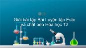 Giải bài tập SGK Hóa 12 Bài 4: Luyện tập Este và chất béo