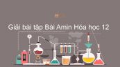 Giải bài tập SGK Hóa 12 Bài 9: Amin