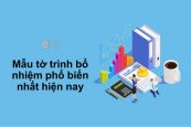 Mẫu tờ trình bổ nhiệm