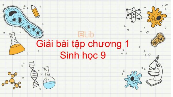Giải bài tập SGK Sinh học 9 Bài 7: Bài tập chương 1