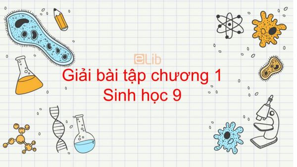 Giải bài tập SGK Sinh học 9 Bài 7: Bài tập chương 1