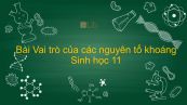 Sinh học 11 Bài 4: Vai trò của các nguyên tố khoáng