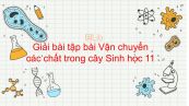 Giải bài tập SGK Sinh học 11 Bài 2