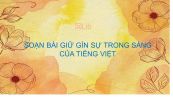 Soạn bài Giữ gìn sự trong sáng của tiếng Việt Ngữ Văn 12 đầy đủ