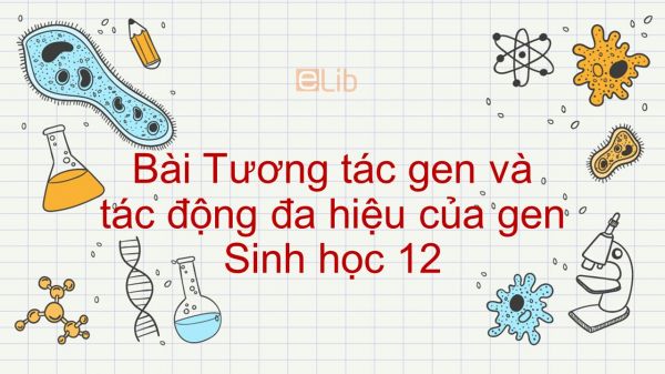 Sinh học 12 Bài 10: Tương tác gen và tác động đa hiệu của gen