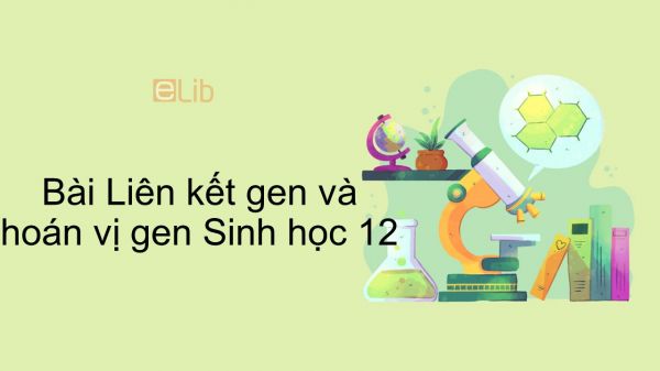 Sinh học 12 Bài 11: Liên kết gen và hoán vị gen