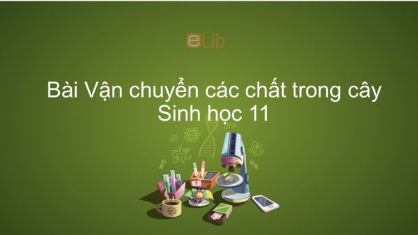 Sinh học 11 Bài 2: Vận chuyển các chất trong cây