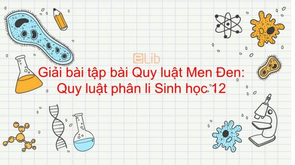 Giải bài tập SGK Sinh học 12 Bài 8: Quy luật Men Đen: Quy luật phân li