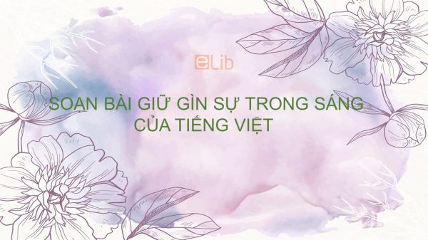 Soạn bài Giữ gìn sự trong sáng của tiếng Việt Ngữ Văn 12 tóm tắt
