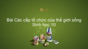 Sinh học 10 Bài 1: Các cấp tổ chức của thế giới sống
