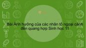 Sinh học 11 Bài 10: Ảnh hưởng của các nhân tố ngoại cảnh đến quang hợp