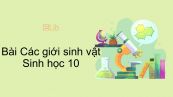 Sinh học 10 Bài 2: Các giới sinh vật