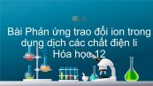 Hoá học 11 Bài 4: Phản ứng trao đổi ion trong dung dịch các chất điện li