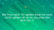 Sinh học 11 Bài 7: Thực hành Thí nghiệm thoát hơi nước và thí nghiệm về vai trò của phân bón
