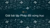 Giải bài tập SGK Toán 11 Bài 3: Phép đối xưng trục