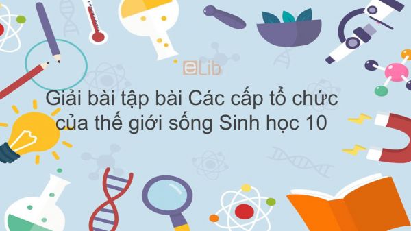 Giải bài tập SGK Sinh học 10 Bài 1: Các cấp tổ chức của thế giới sống