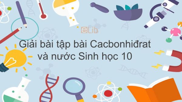 Giải bài tập SGK Sinh học 10 Bài 4: Cacbonhiđrat và lipit