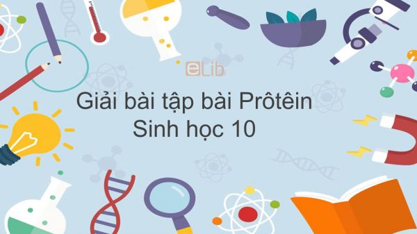 Giải bài tập SGK Sinh học 10 Bài 5: Prôtêin