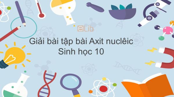 Giải bài tập SGK Sinh học 10 Bài 6: Axit nuclêic