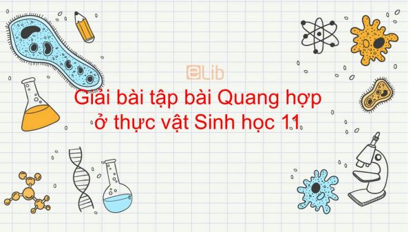 Giải bài tập SGK Sinh học 11 Bài 8: Quang hợp ở thực vật