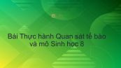 Sinh học 8 Bài 5: Thực hành Quan sát tế bào và mô
