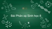 Sinh học 8 Bài 6: Phản xạ