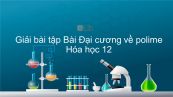 Giải bài tập SGK Hóa 12 Bài 13: Đại cương về polime