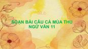 Soạn bài Câu cá mùa thu Ngữ Văn 11 đầy đủ