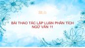 Thao tác lập luận phân tích Ngữ Văn 11