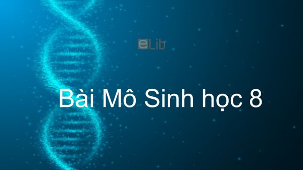 Sinh học 8 Bài 4: Mô