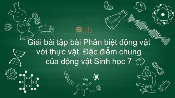 Giải bài tập SGK Sinh học 7 Bài 2: Phân biệt ĐV với TV. Đặc điểm chung của ĐV